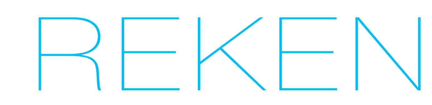 Ireken - AI & ERP Solutions